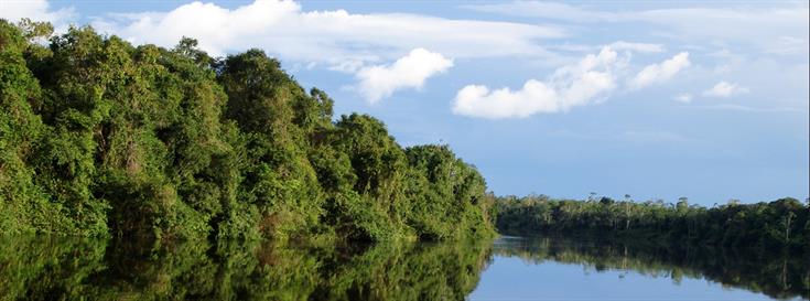 John Hemming's groundbreaking Tree of Rivers now available in Spanish