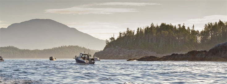 Coastal Guardian Watchmen steward resources in British Columbia