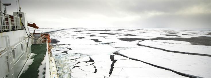 New restrictions on shipping traffic: A big conservation win for coastal areas of the Bering Sea 