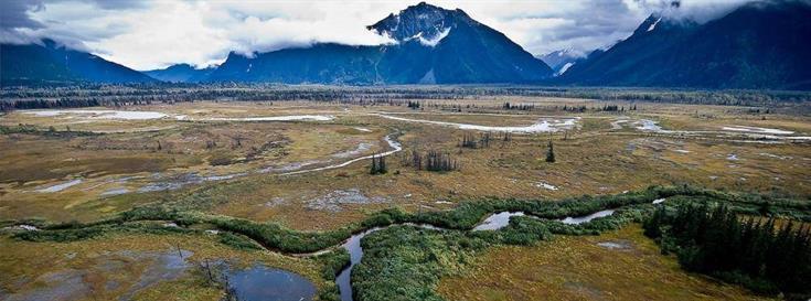 Proposed deal to preserve large swaths of Great Bear Rainforest