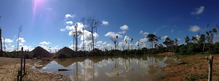 Has regularizing illegal activities helped to protect Peru's forests from the devastating impacts of gold mining?