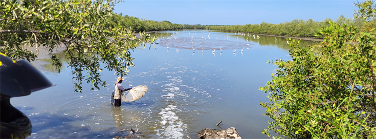 Innovative technology helps identify where food comes from  