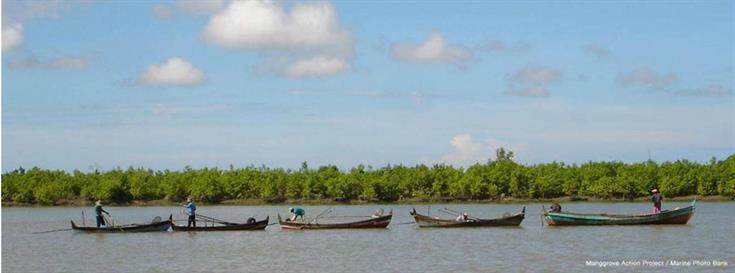 New online tool to increase sustainability in seafood industry 