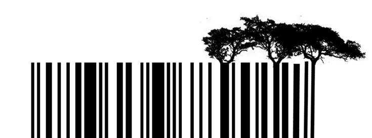 Project to create genetic catalog of model ecosystem gets $5.2 million from Gordon and Betty Moore Foundation