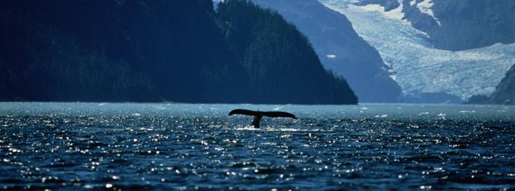 Province and First Nations sign marine plan agreements for North Pacific Coast
