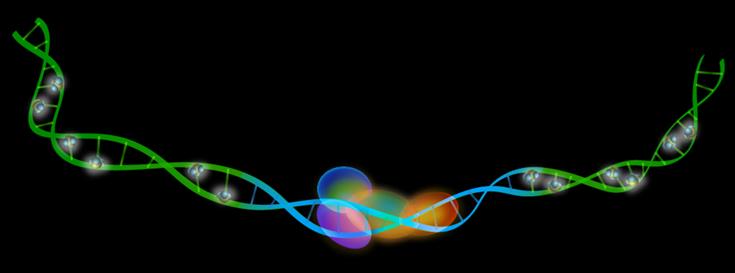 Mapping the genome to better understand disease