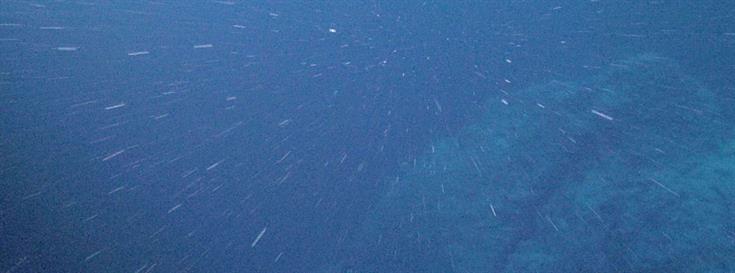 Marine carbon sinking rates confirm importance of polar oceans