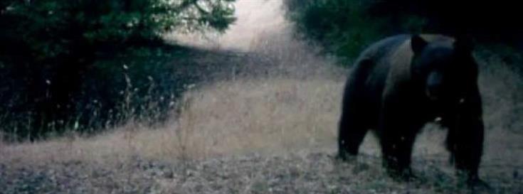  Sonoma Land Trust’s work on wildlife corridors