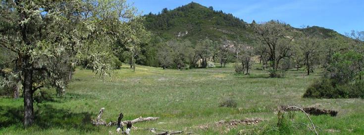 Landmark conservation achievement in Napa County
