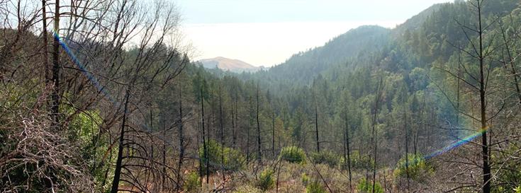 Acquisition of Fitzsimmons Ranch will preserve important corridor of the Mayacamas Mountains 