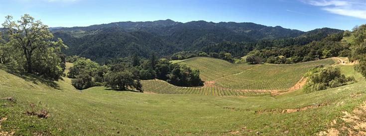 Property near Lake Sonoma permanently spared from development