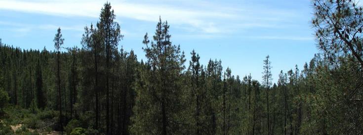 Important conservation of large land area in Napa County