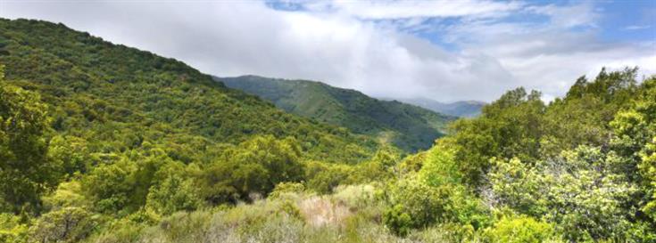 Acquisition of 159 acres in Santa Cruz Mountains creates important link to preserving open space 