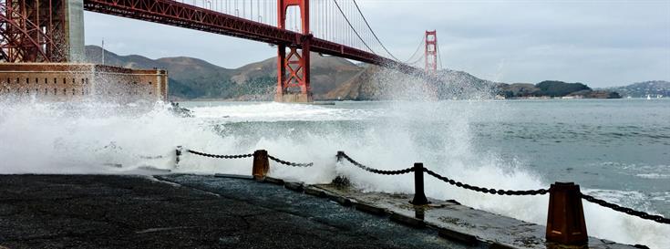 Curious minds benefit from a deep dive into ocean ecosystems 