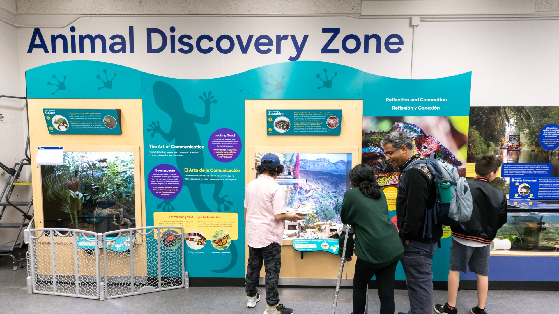 The Lawrence's Animal Discovery Zone. Credit: The Lawrence Hall of Science The Lawrence's Animal Discovery Zone. Credit: The Lawrence Hall of Science