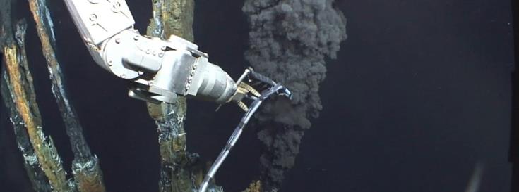 New study shows importance of hydrogen as chemosynthetic bacteria's energy source