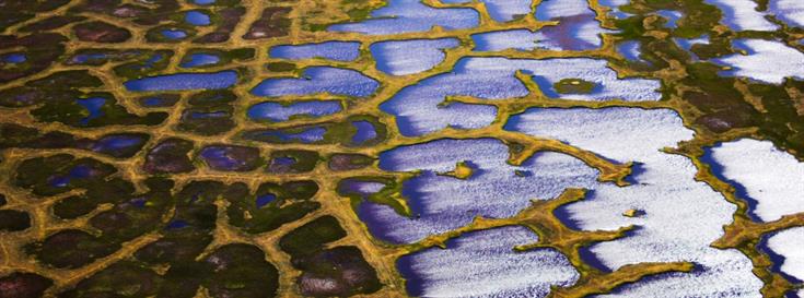 Seeding audacious ideas: Monitoring carbon emission from thawing Arctic permafrost and wildfire
