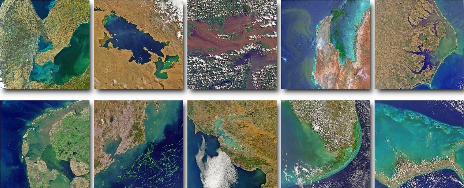 SeaHawk Montage of images taken by SeaHawk. Credit: NASA