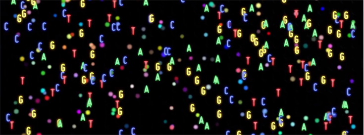 Ancient DNA expands our understanding of evolution