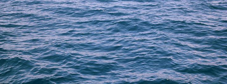 Lessons from our work in marine microbial ecology