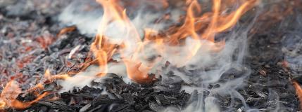 Progress, challenges and opportunities: Updates from Wildfire Resilience Initiative grantees  
